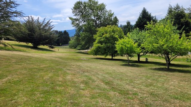 5-20250525_124426_Orchard-N-to-S-1